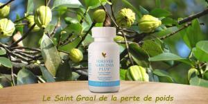 forever garcinia plus