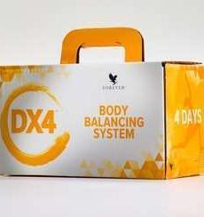 programme DX4 forever équilibre et bien-être