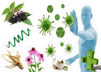 synergie des produits forever immunité