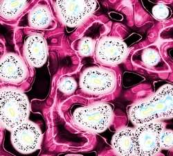 comment éliminer les toxines